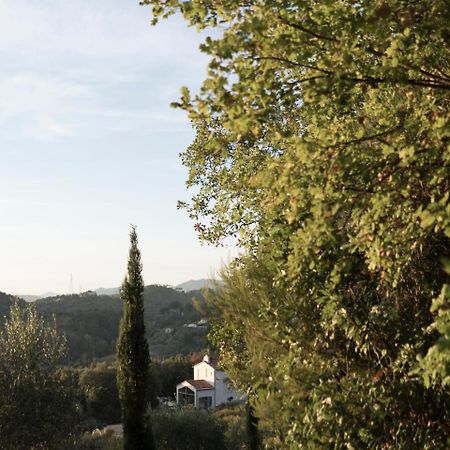B&B La Fustaia Sarzana Extérieur photo